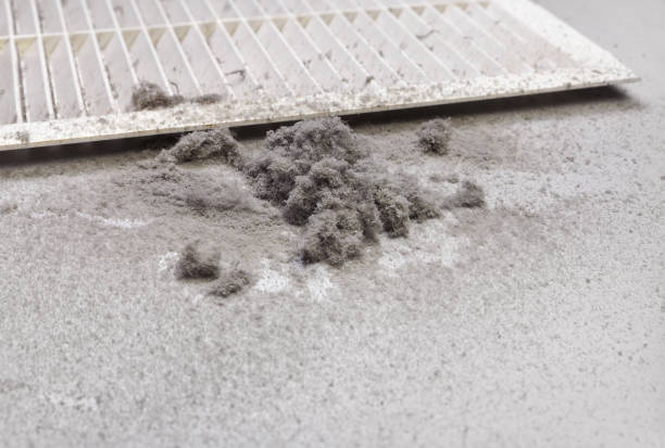 Best Air Duct Cleaning Near Me  in Fremont, NC