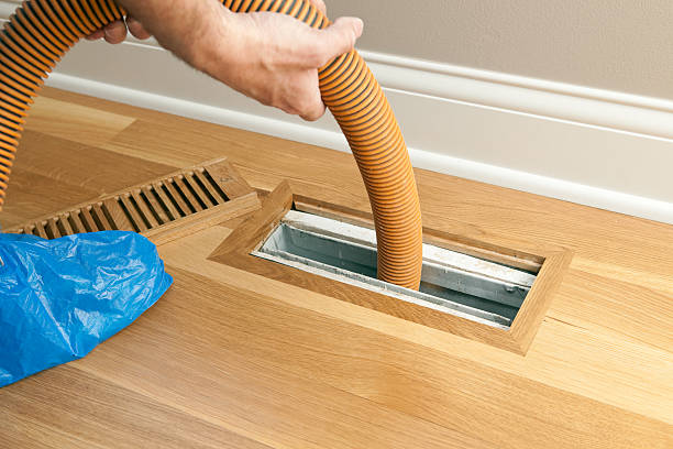 Best Air Duct Mold Removal  in Fremont, NC